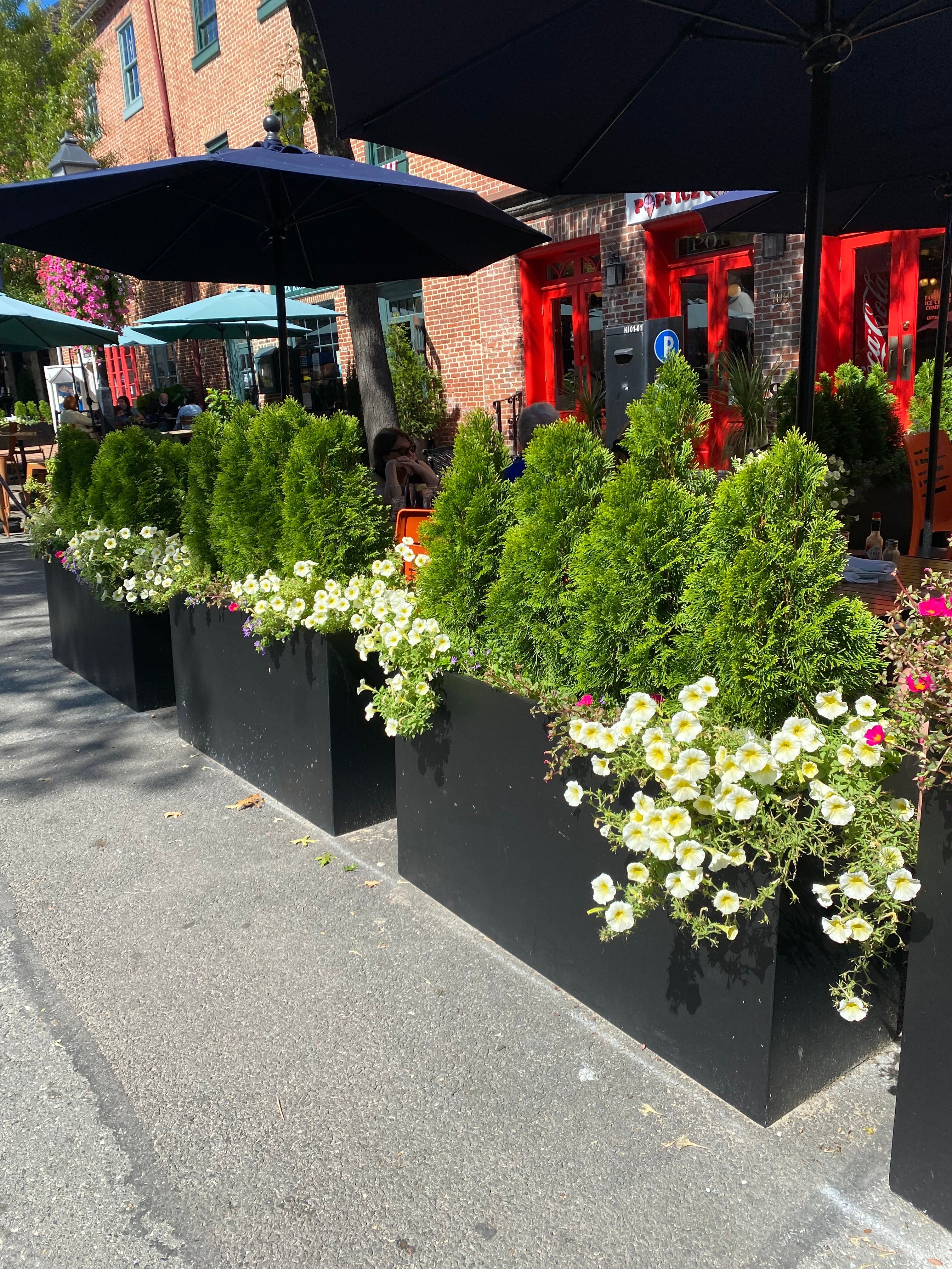 Fiber-Clay Planters