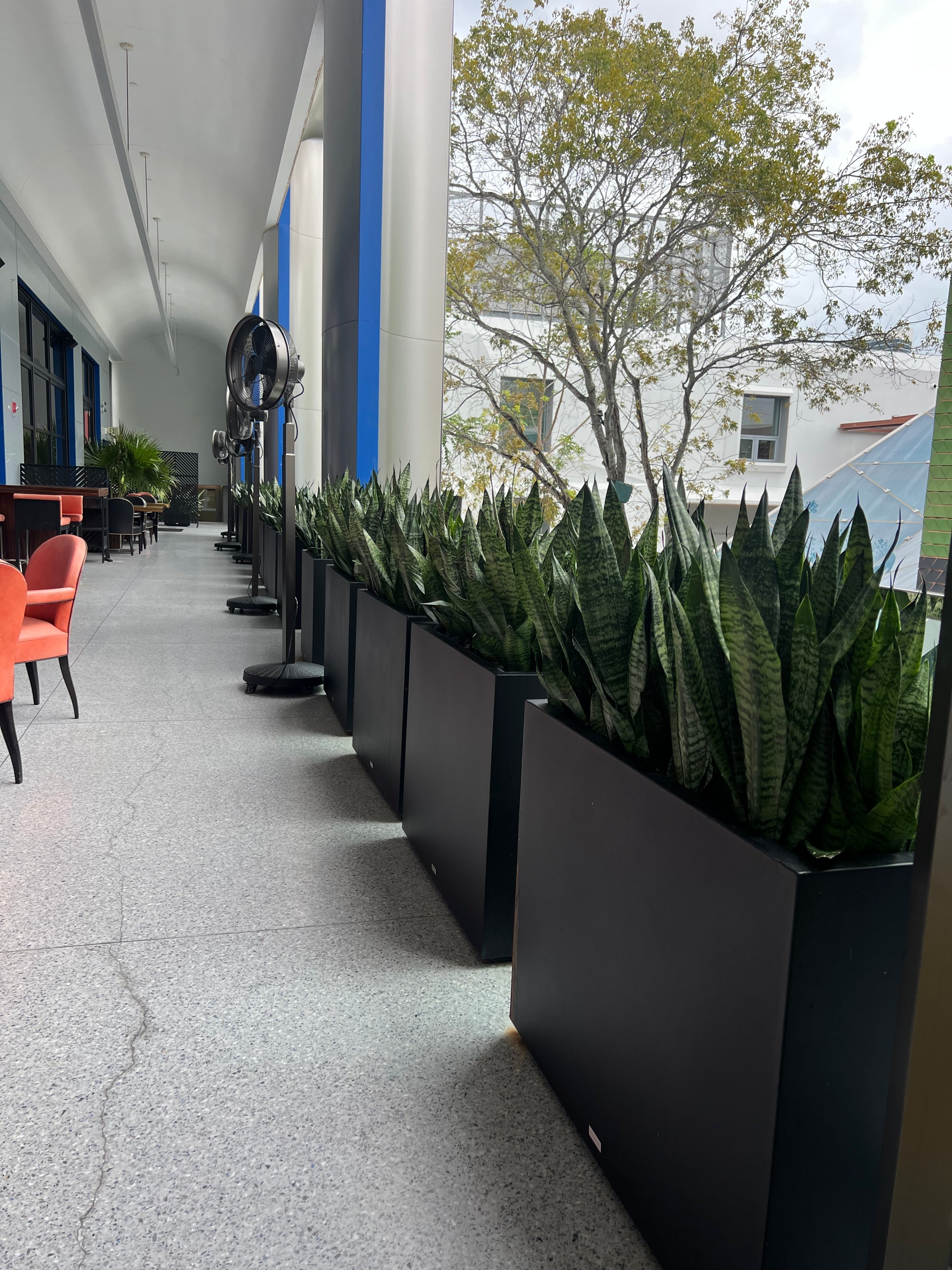 Italian Fiber-Glass Planters