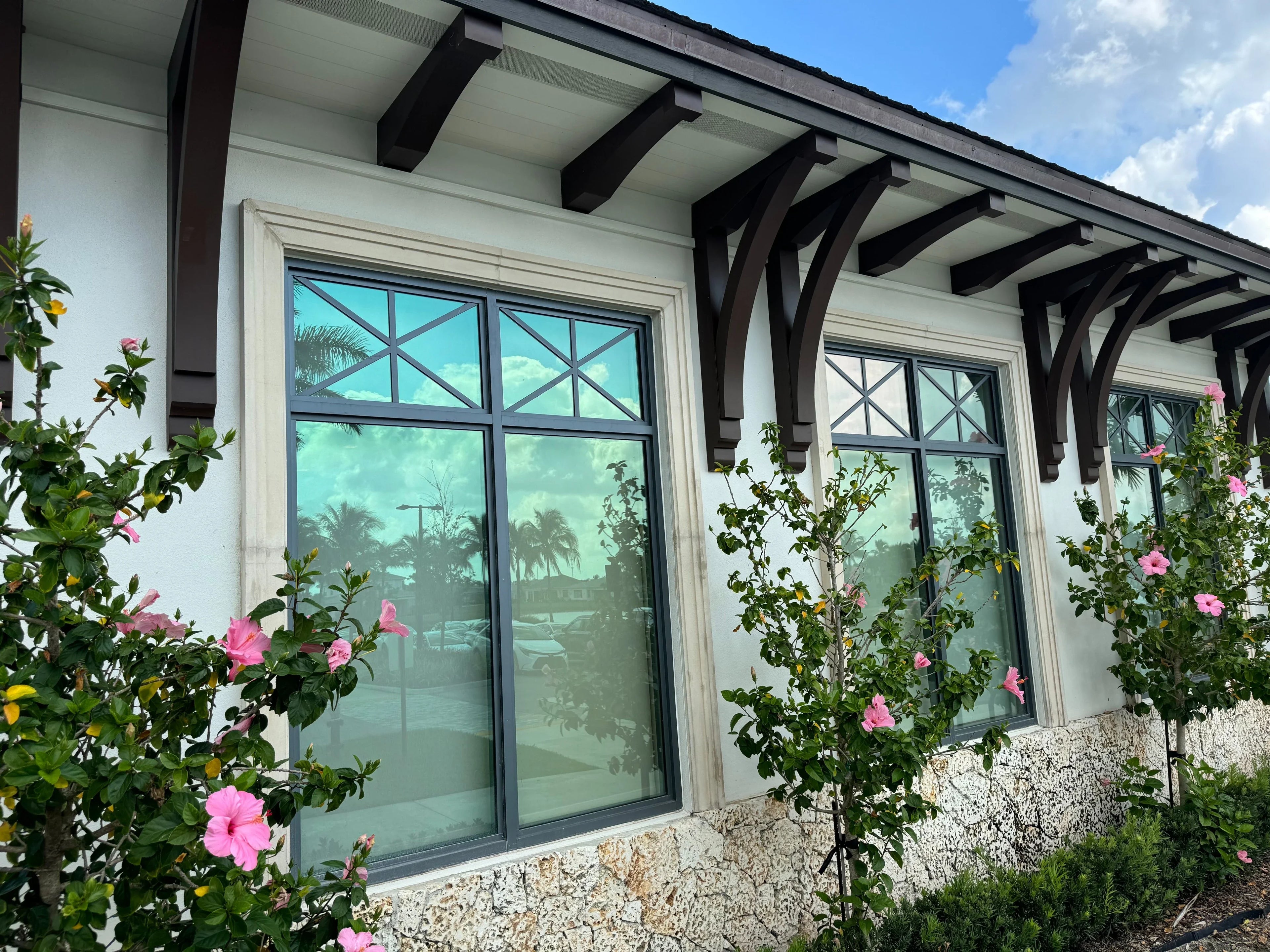 Window Dressings