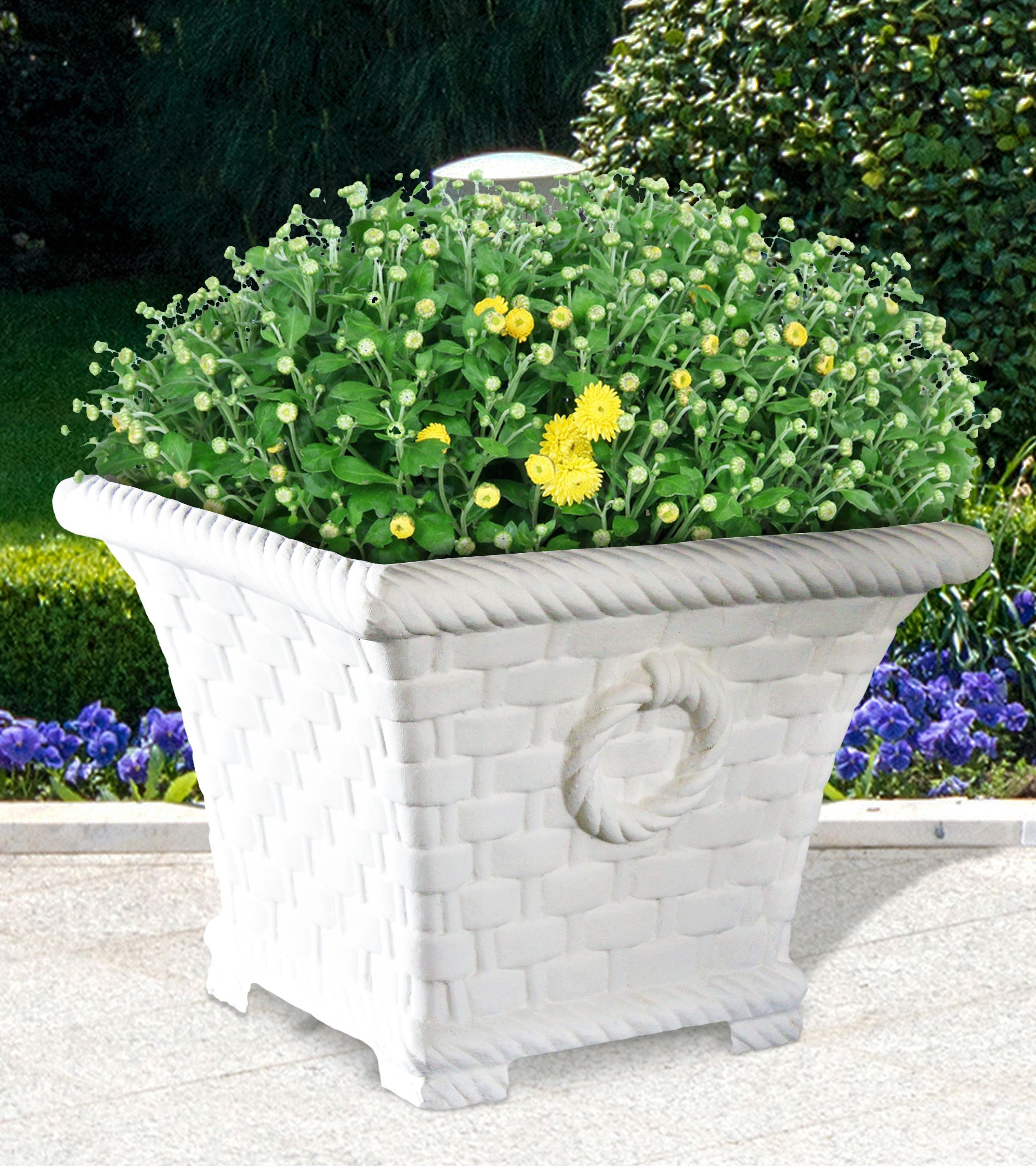 Basket Planter