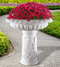 Belluve Urn