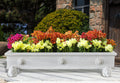 Bullnose Rectangular Planter With Lion Face Design 72