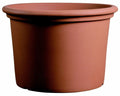 Campana Liscia