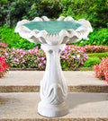 CLASSIC_SCALLOP_BIRDBATH - Cast Stone International 