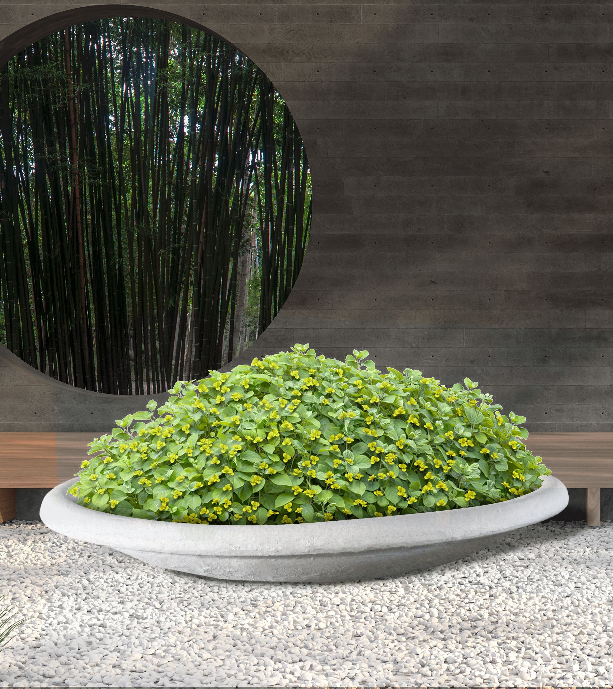 Contemporary Bowl Large