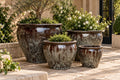Elegant Ceramic Planters