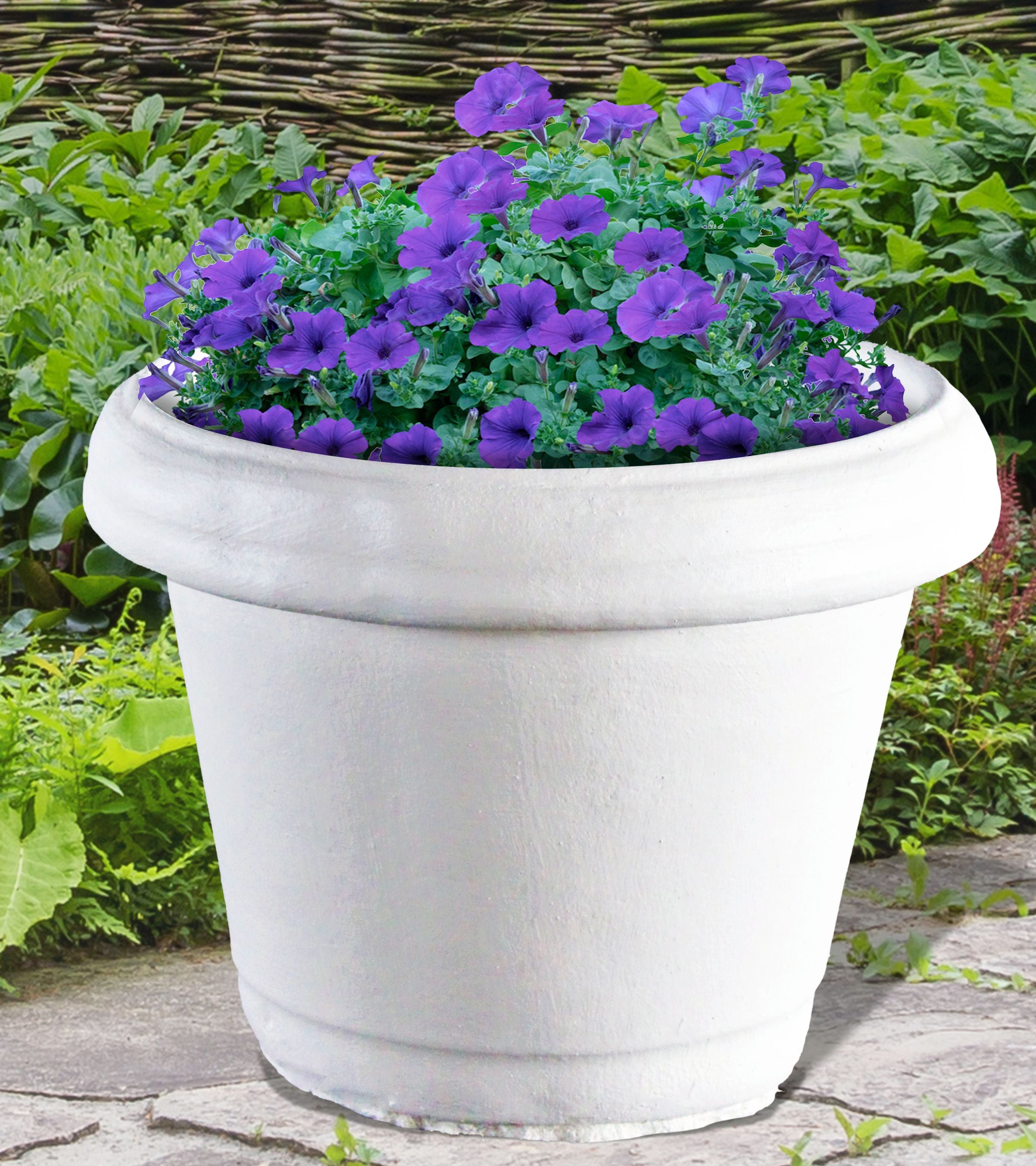 Florina Flower Pot