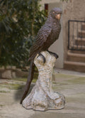 Gazing Parrot On Tree Branch Bronze Statue