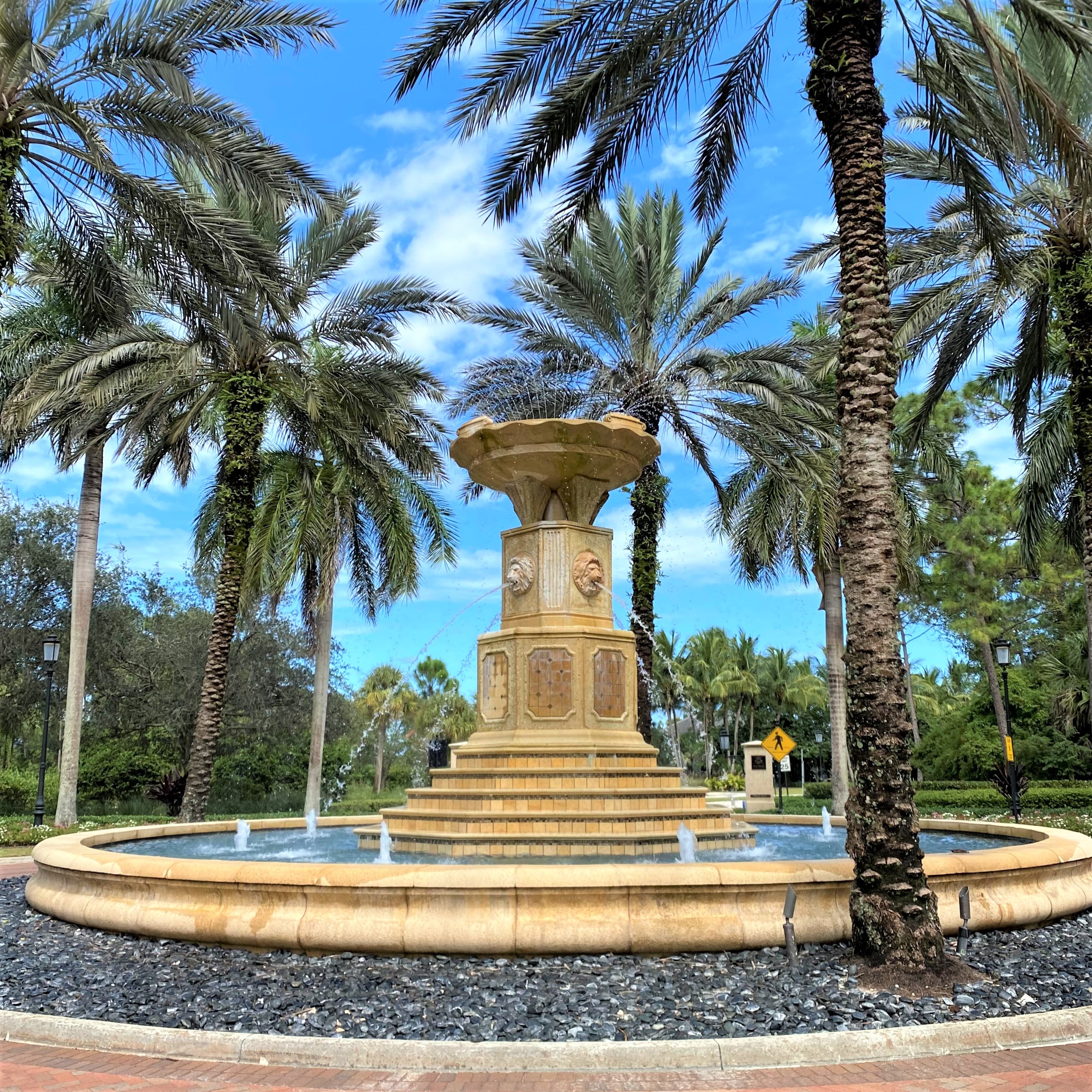 Italian Old Palms Fountain
