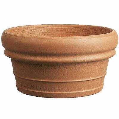 Low Rolled Rim