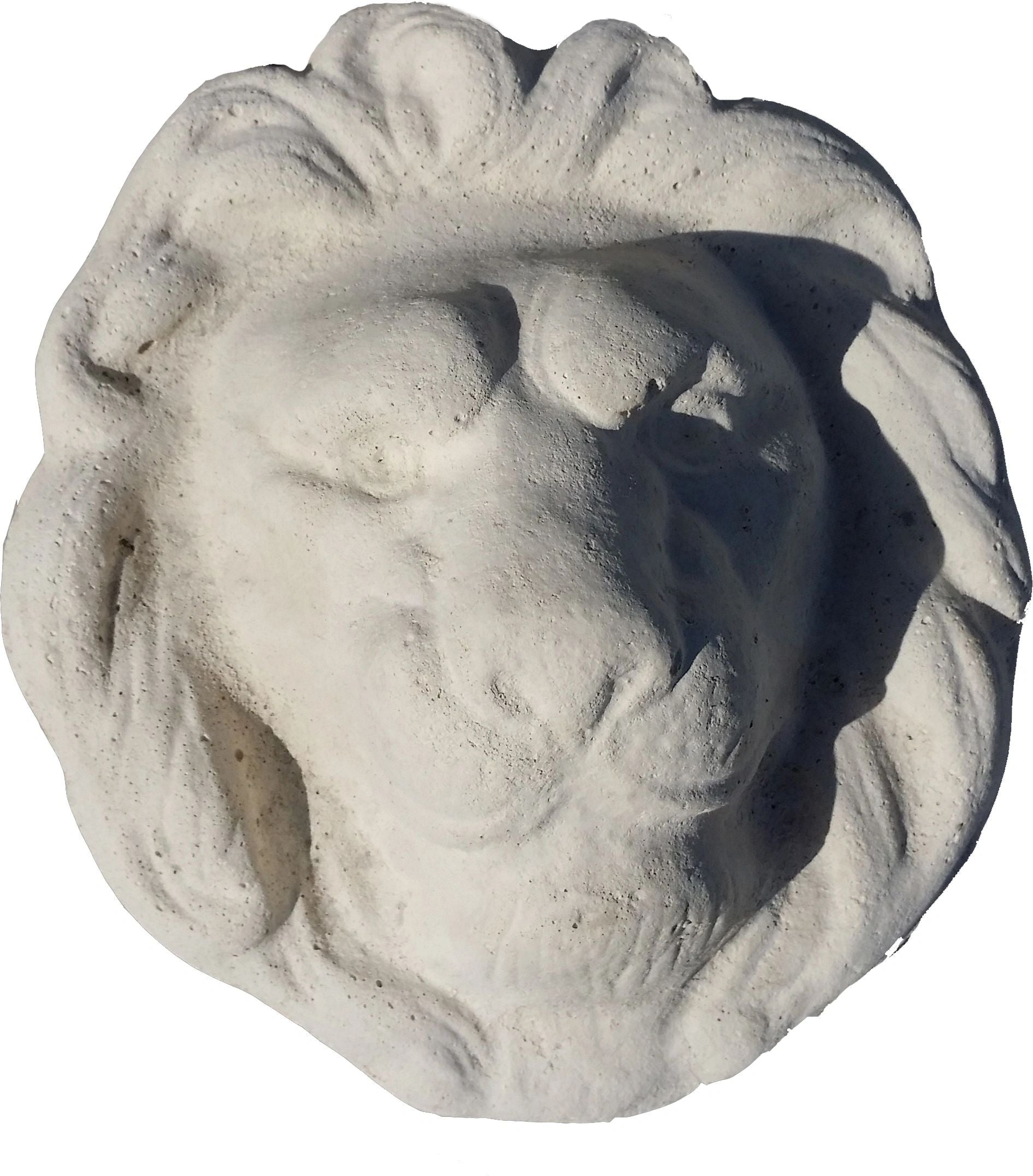 Lion Head Wall Plaque