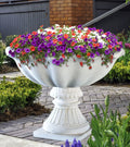 Olympian Urn