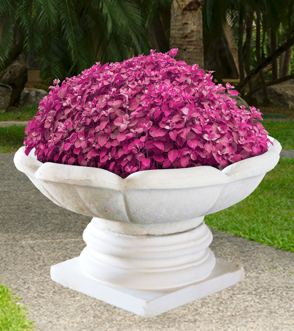 PETAL_BOWL_MEDIUM_69a6f9b5-9236-45c9-ba24-3867213340f4 - Cast Stone International 