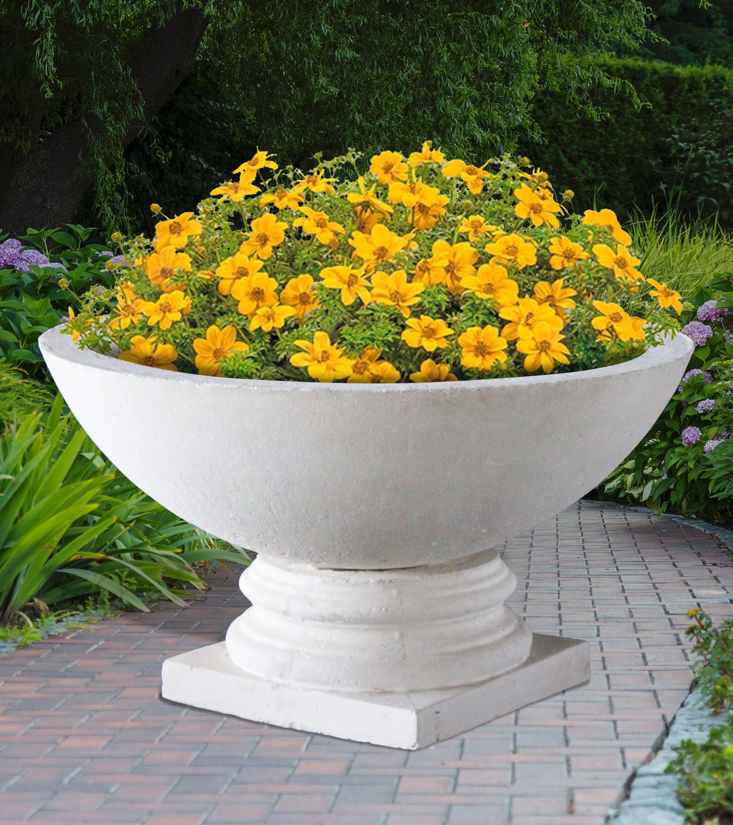 Plain Bowl