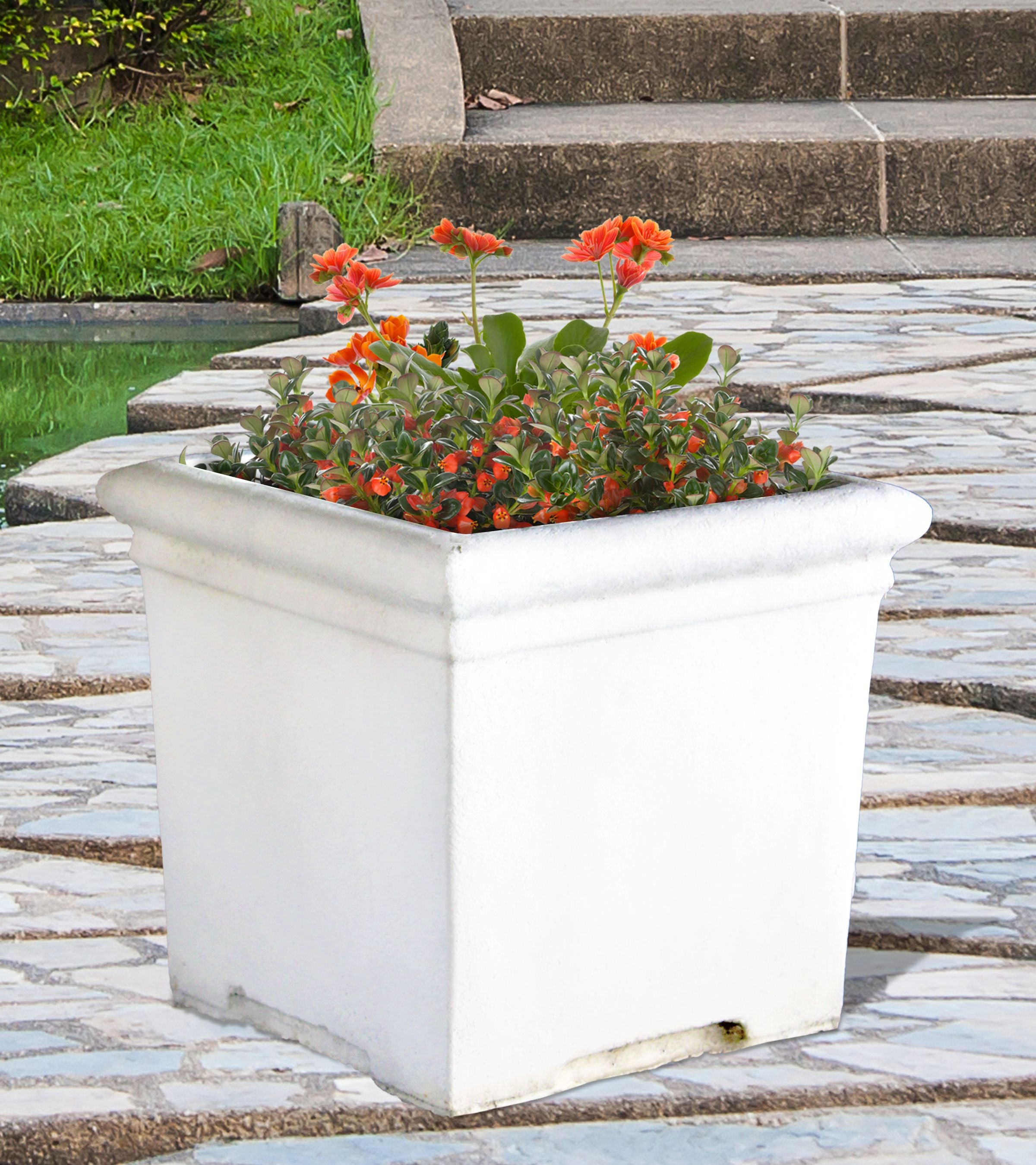 Plain Square Planter Small