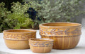 Rogue Ceramic Bowls Set of 3