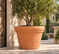Rolled Rim Planter