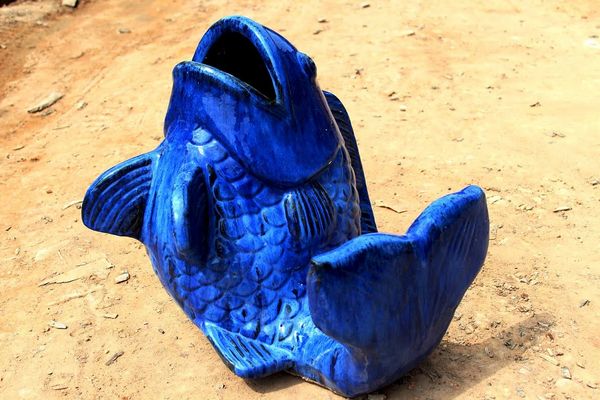 Royal Fish
