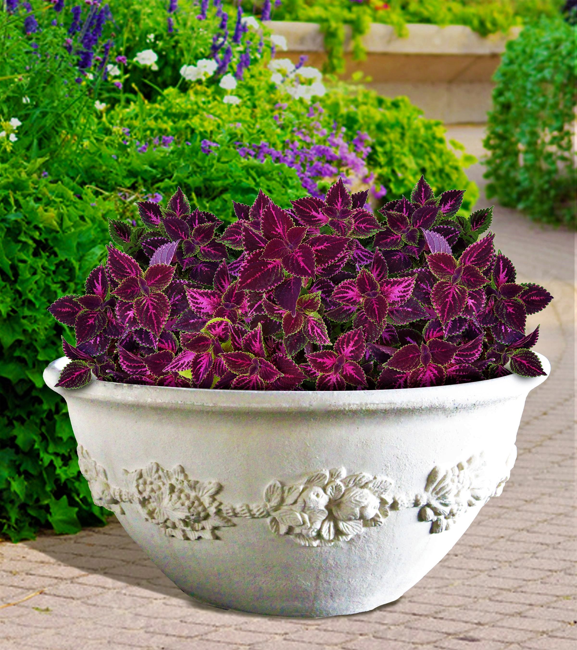 Royal Planter Bowl