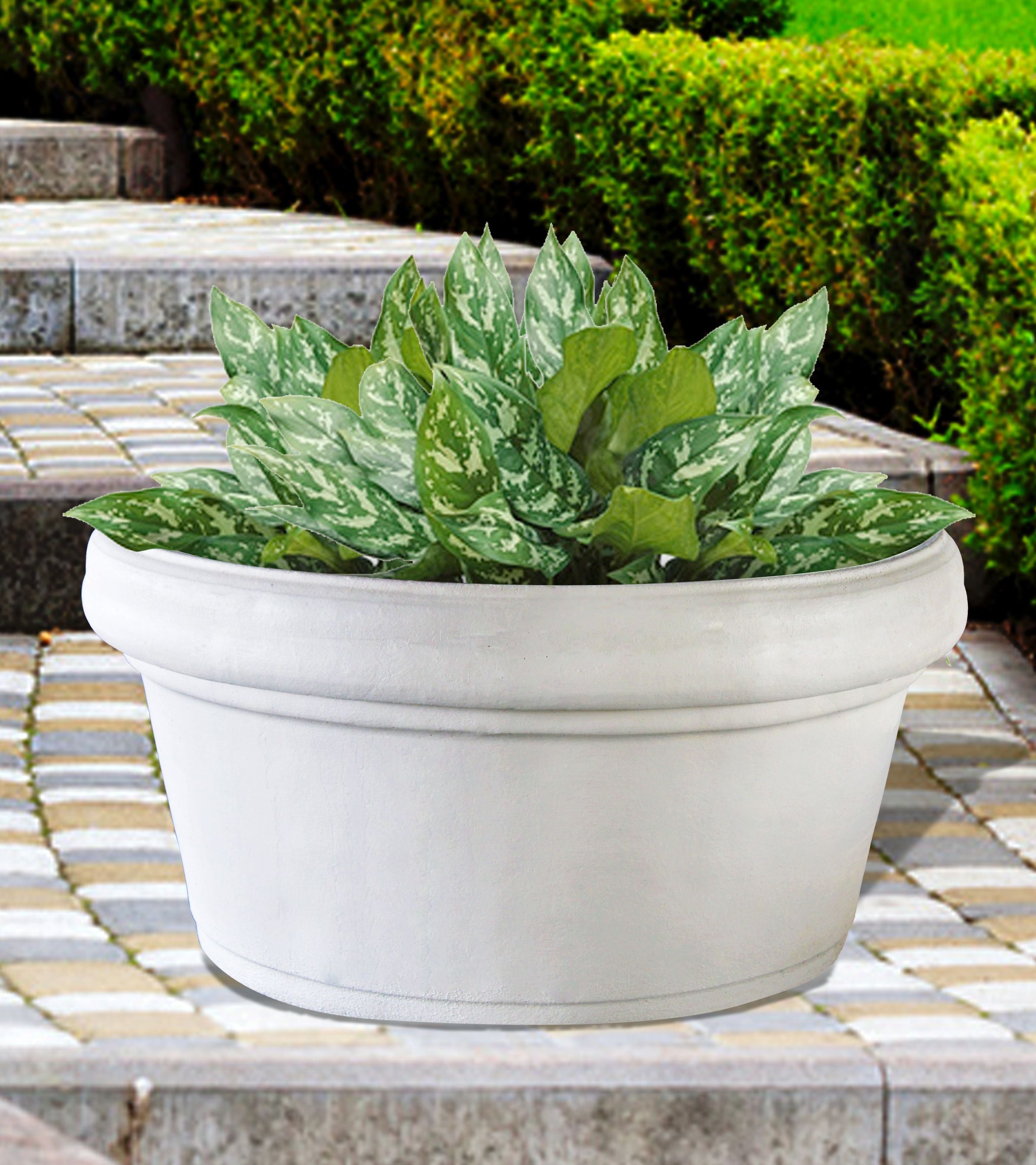 SHALLOW_PERFECTO_PLANTER - Cast Stone International 