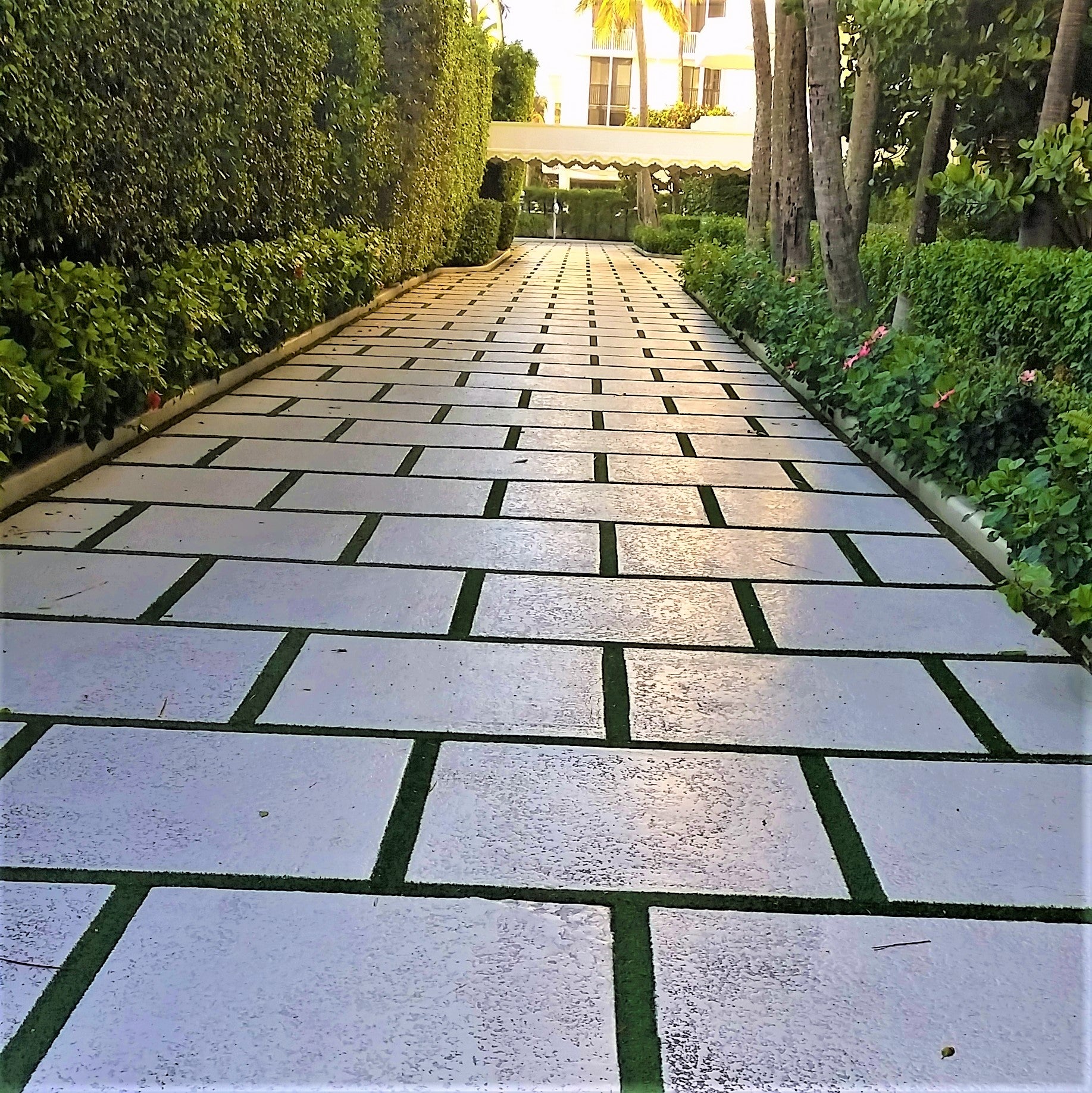 Square Cement Paver