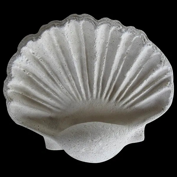 Small Shell Wall Plaque