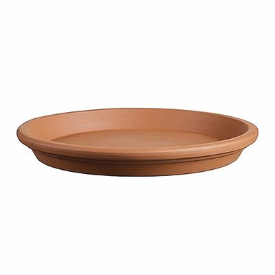 Terracotta Saucer