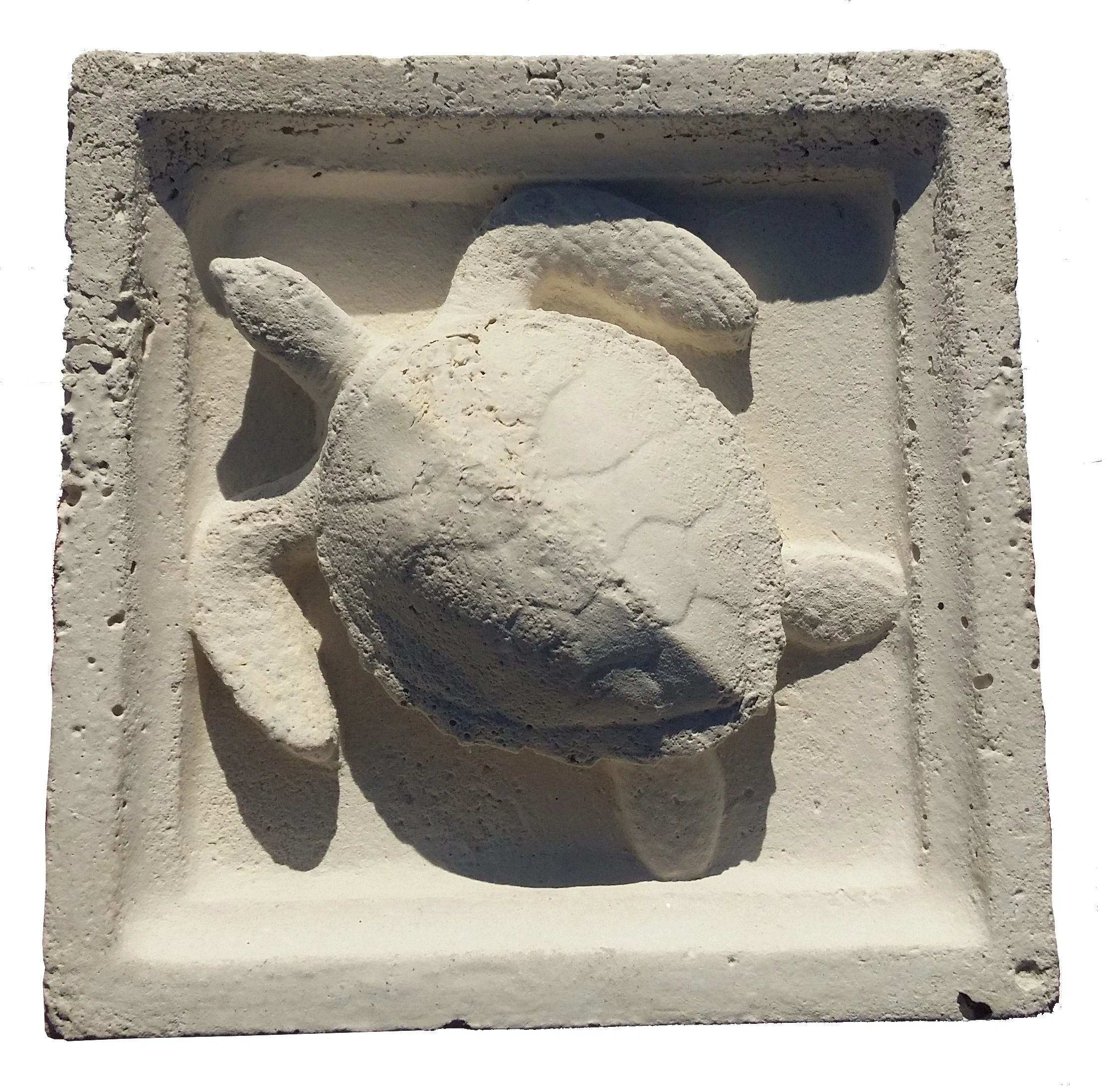 Turtle Design Wall Plaque