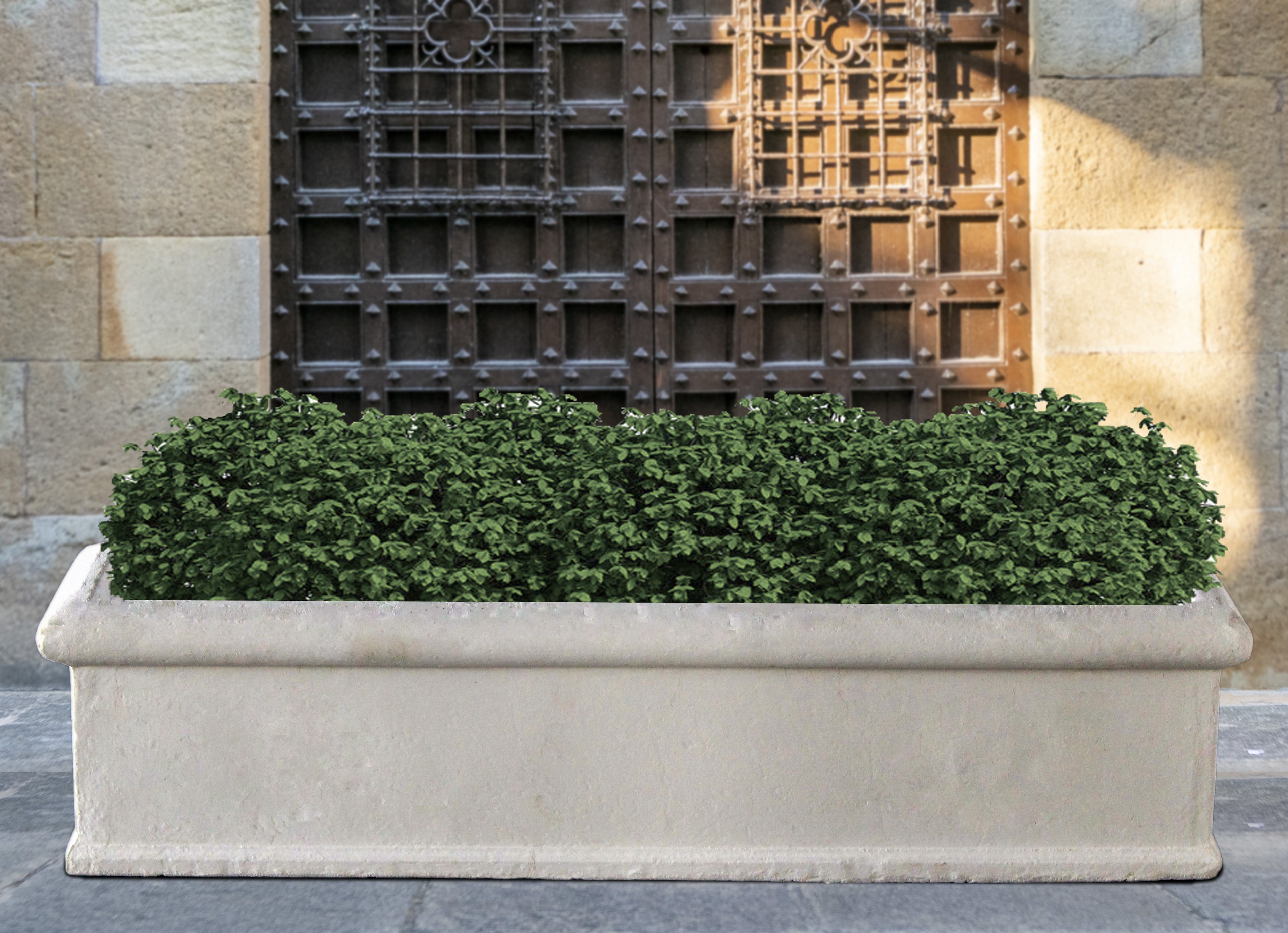 Window Box Planter