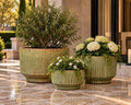 Cedar Ceramic Planters Set of 3