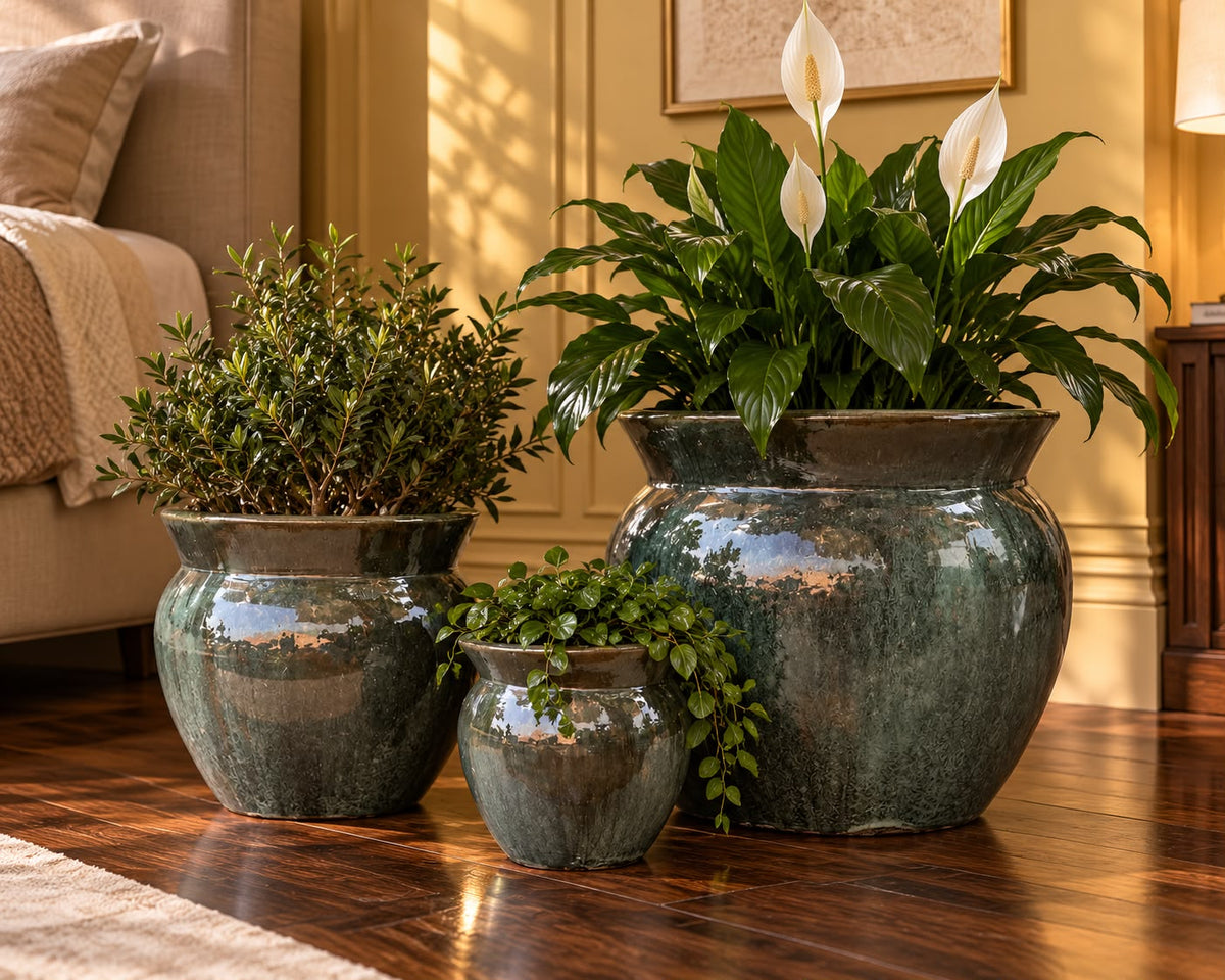 Albany Ceramic Planters Set of 3