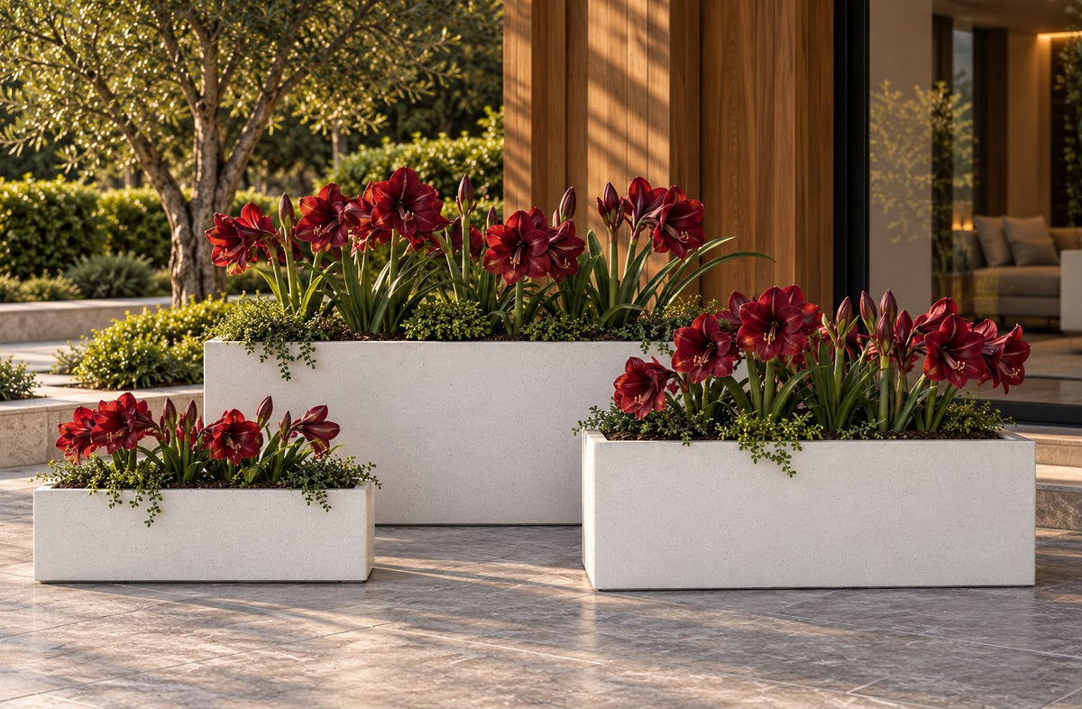Maverick Rectangular Planter